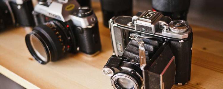 蘑菇视频 - 互动交流新体验